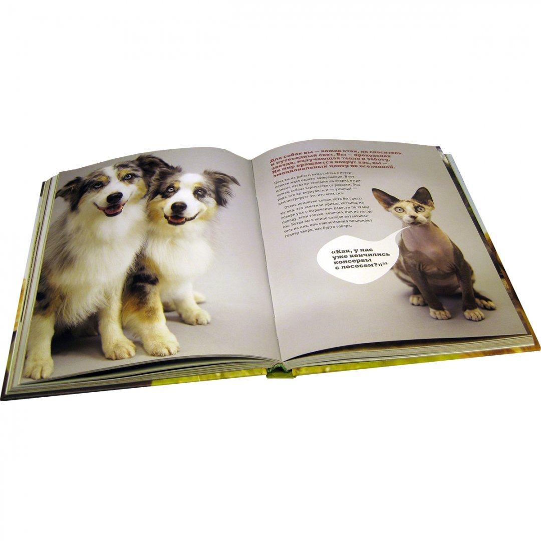 Иллюстрация 26 из 30 для Почему собаки лучше кошек - Бредли Грив | Лабиринт - книги. Источник: Лабиринт