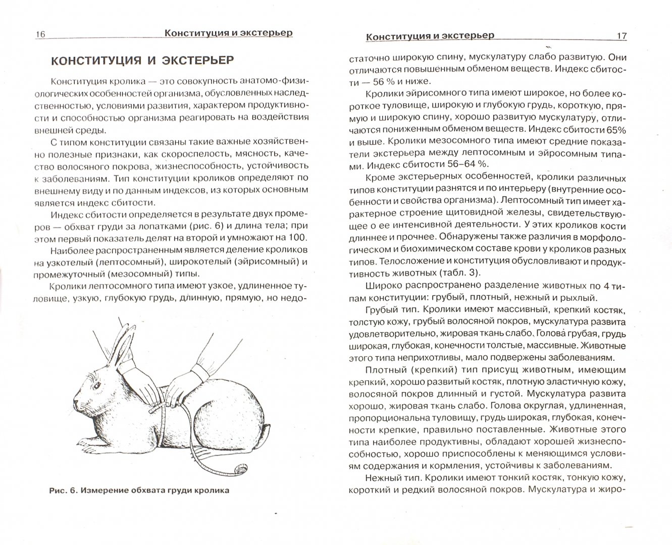 Иллюстрация 1 из 3 для Содержание кроликов мясных пород - Светлана Бондаренко | Лабиринт - книги. Источник: Лабиринт