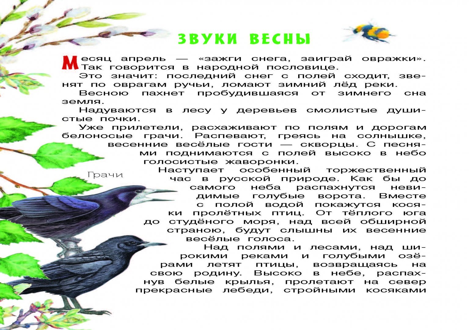 Иллюстрация 3 из 25 для Лесные рассказы - Иван Соколов-Микитов | Лабиринт - книги. Источник: Лабиринт
