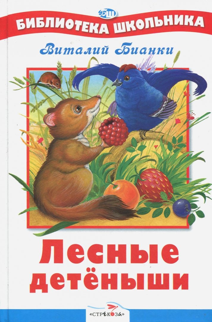 Иллюстрация 1 из 35 для Лесные детёныши - Виталий Бианки | Лабиринт - книги. Источник: Лабиринт