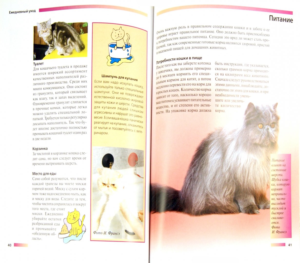 Иллюстрация 1 из 17 для Персидская кошка. Содержание и уход - Доминик Кизельбах | Лабиринт - книги. Источник: Лабиринт