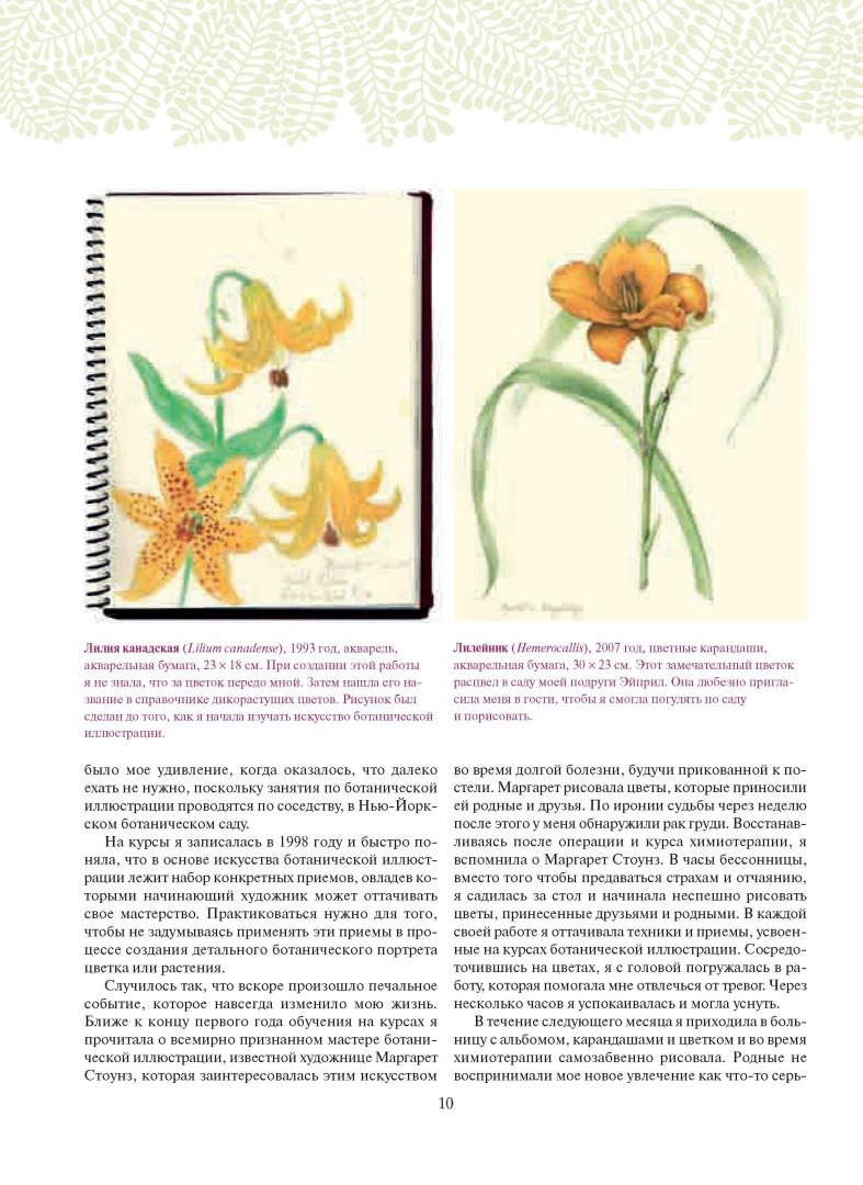 Иллюстрация 9 из 40 для Ботаническая иллюстрация - Венди Холендер | Лабиринт - книги. Источник: Лабиринт