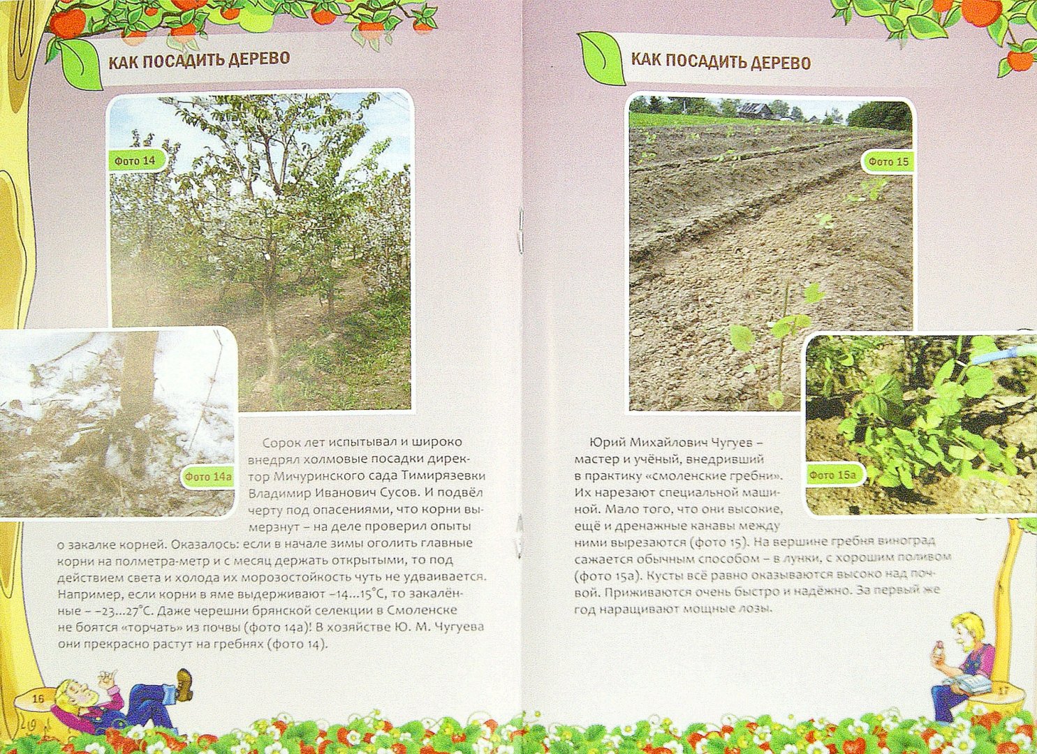 Иллюстрация 1 из 25 для Как посадить дерево - Николай Курдюмов | Лабиринт - книги. Источник: Лабиринт