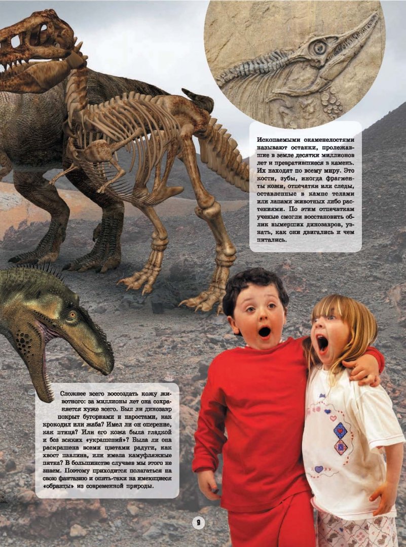 Иллюстрация 13 из 17 для Динозавры - Вячеслав Ликсо | Лабиринт - книги. Источник: Лабиринт