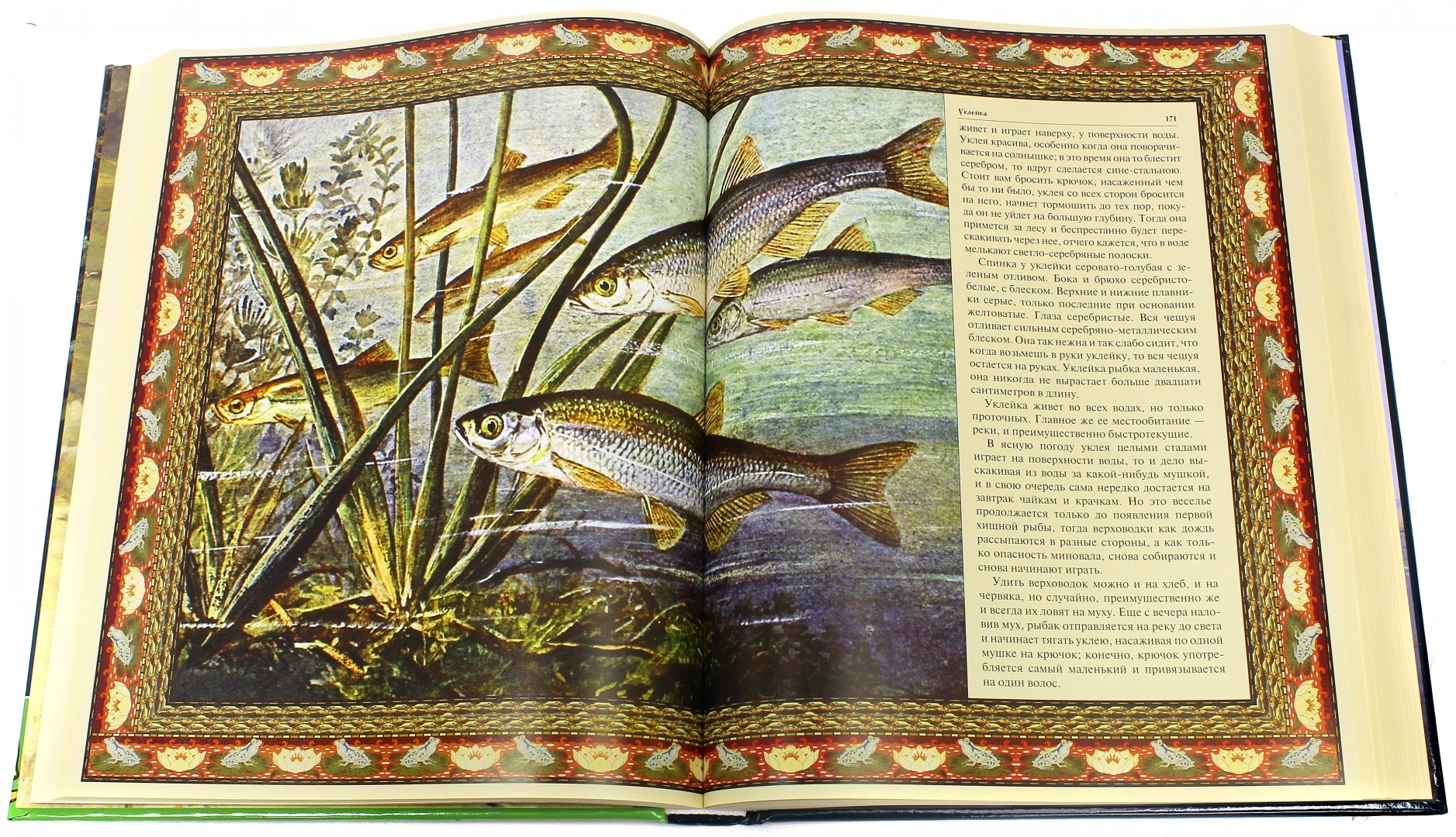 Иллюстрация 1 из 8 для Русская рыбалка (в коробе) | Лабиринт - книги. Источник: Лабиринт