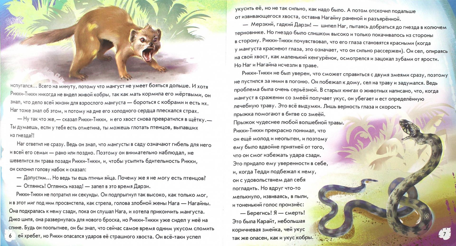 Иллюстрация 1 из 15 для Рикки-Тикки-Тави - Редьярд Киплинг | Лабиринт - книги. Источник: Лабиринт