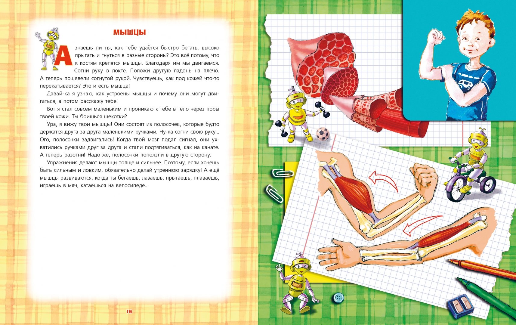 Иллюстрация 5 из 20 для Как работает мое тело - Елена Первушина | Лабиринт - книги. Источник: Лабиринт