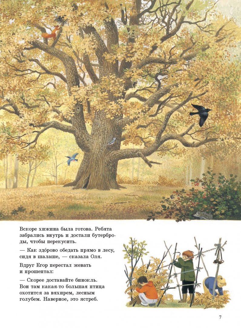 Иллюстрация 21 из 26 для Наше дерево (иллюстрации Герды Мюллер) - Герда Мюллер | Лабиринт - книги. Источник: Лабиринт