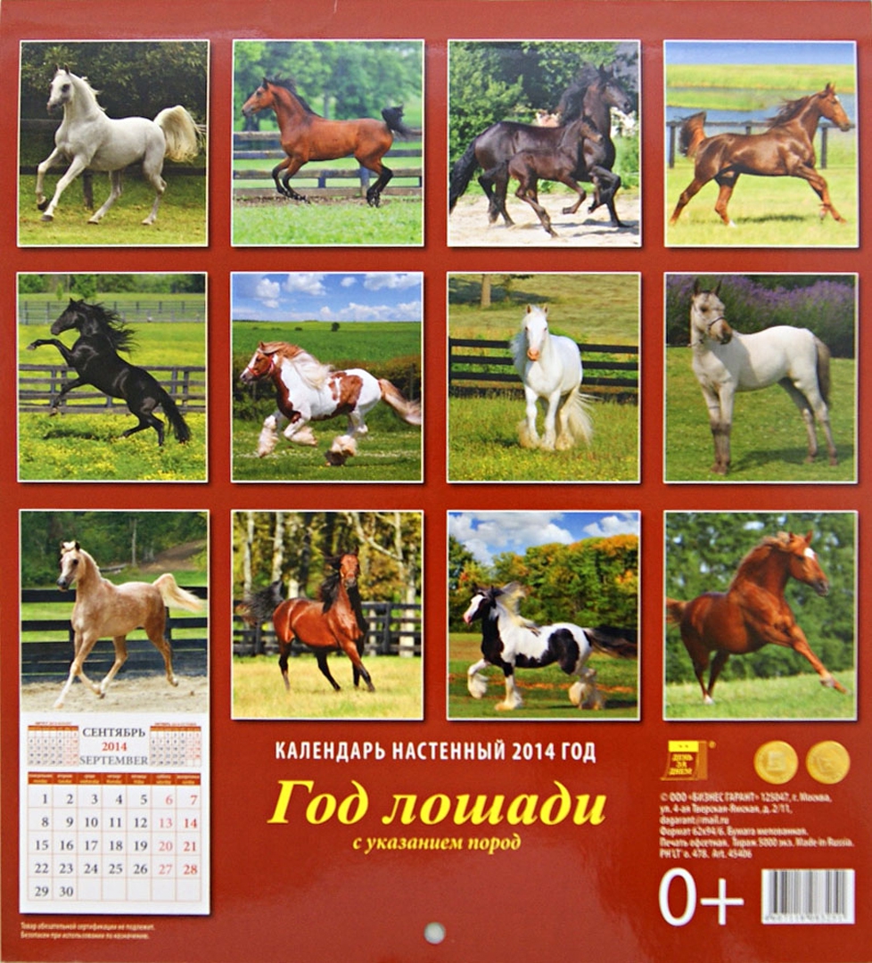 Иллюстрация 2 из 6 для Календарь на 2014 год "Год лошади" (45406) | Лабиринт - сувениры. Источник: Лабиринт