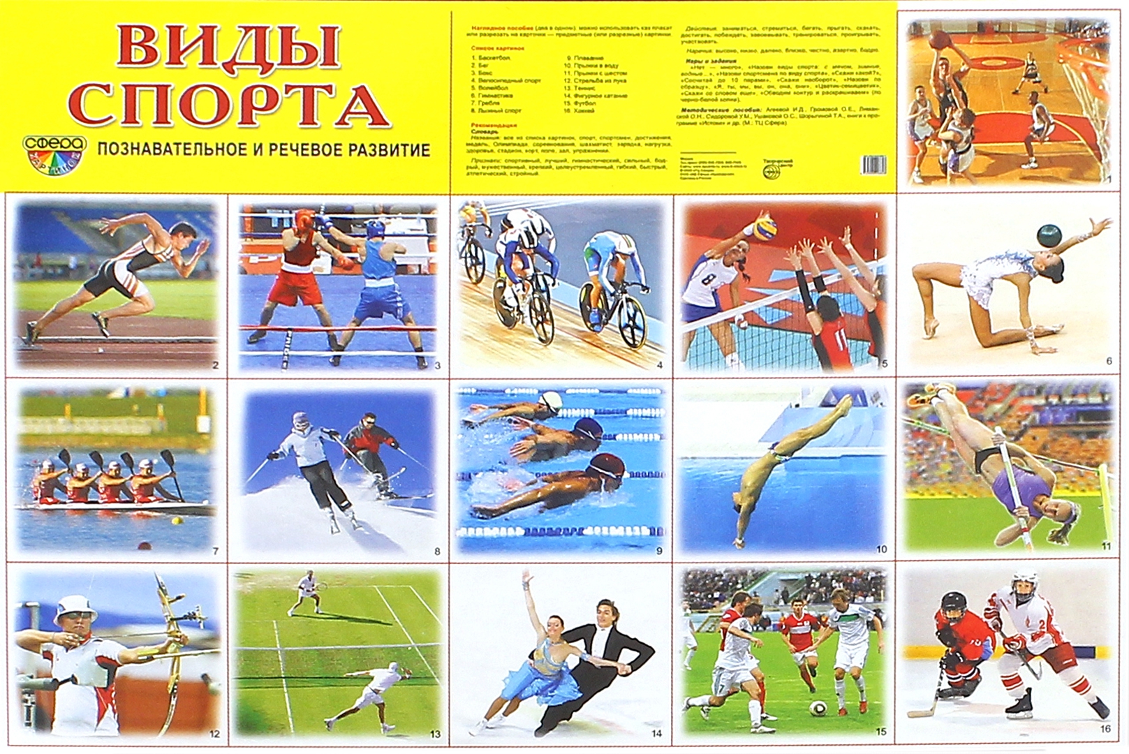 Иллюстрация 1 из 50 для Демонстрационные картинки "Виды спорта" (16 картинок) | Лабиринт - книги. Источник: Лабиринт