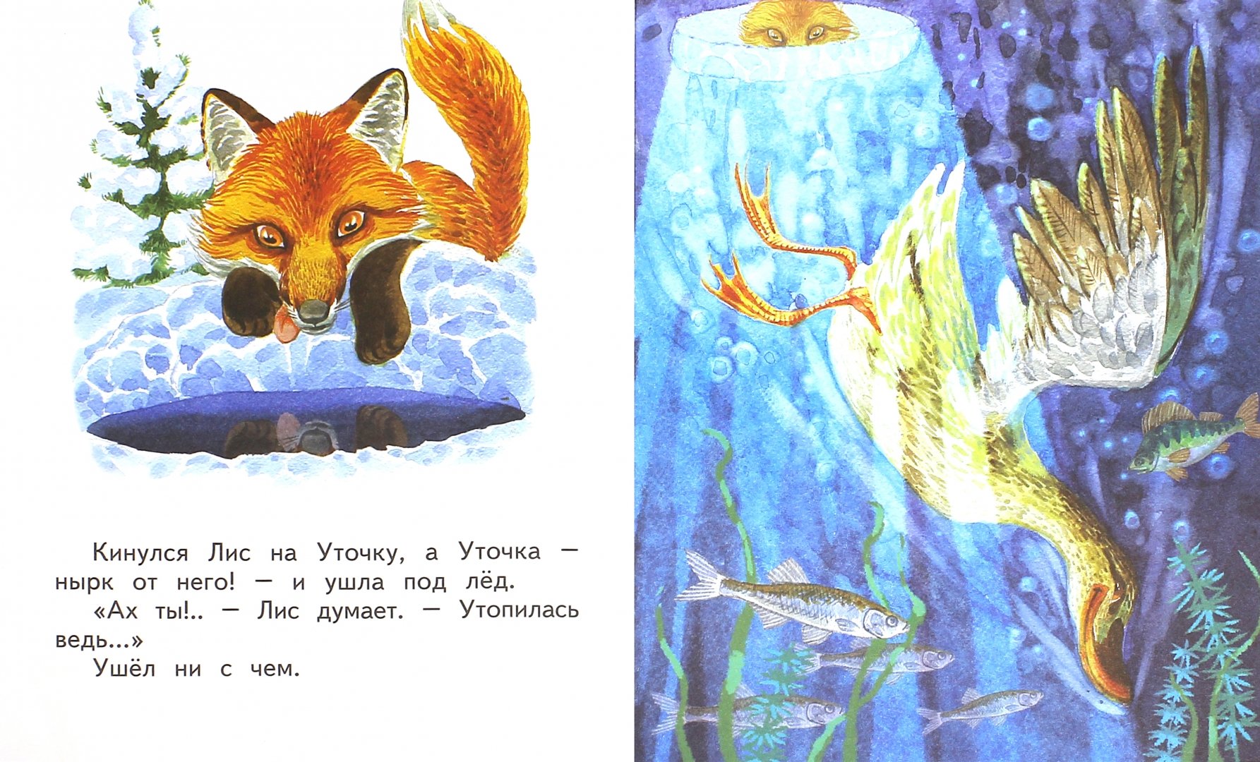 Иллюстрация 1 из 15 для Хитрый Лис и умная Уточка
