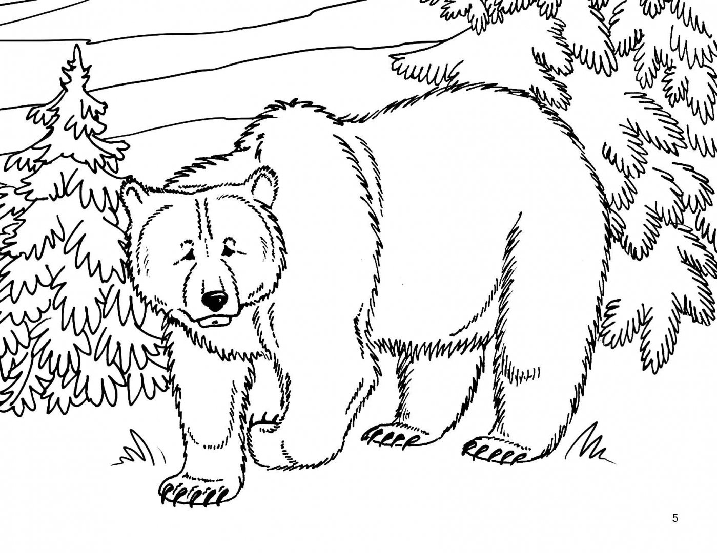 Иллюстрация 5 из 6 для Животные. Большой альбом волшебных раскрасок | Лабиринт - книги. Источник: Лабиринт