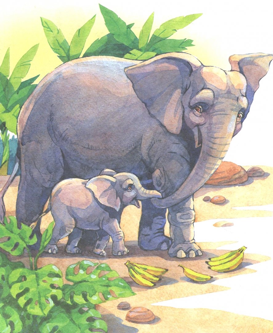 Иллюстрация 1 из 15 для Какие слоны умные - Борис Житков | Лабиринт - книги. Источник: Лабиринт