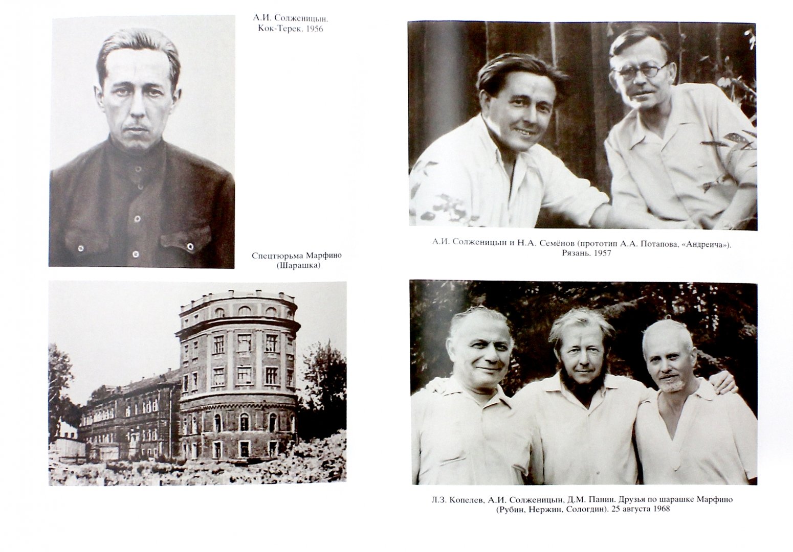 Иллюстрация 1 из 36 для В круге первом - Александр Солженицын | Лабиринт - книги. Источник: Лабиринт
