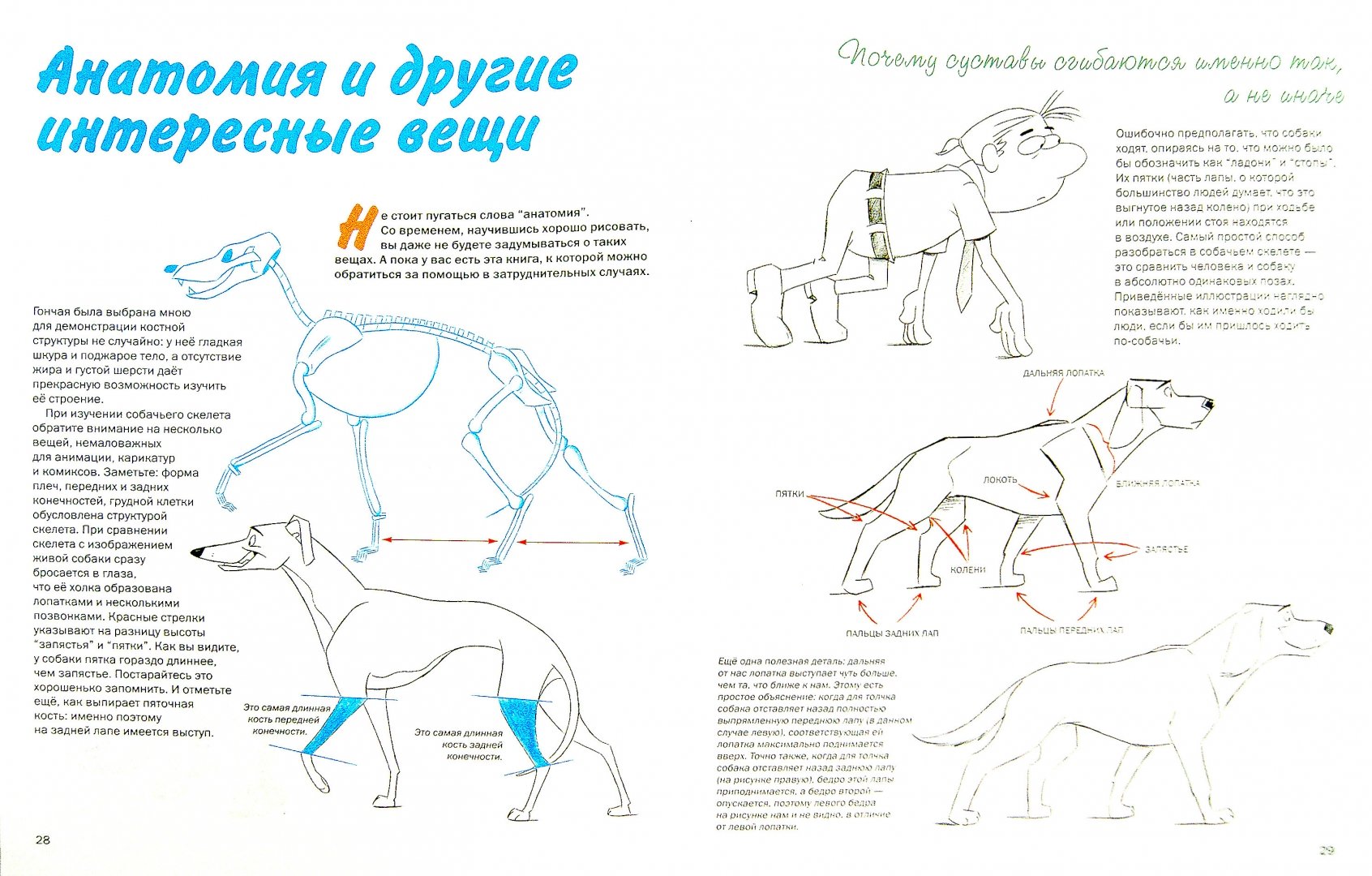 Иллюстрация 2 из 34 для Как нарисовать мультяшных собак, щенков и волков - Кристофер Харт | Лабиринт - книги. Источник: Лабиринт